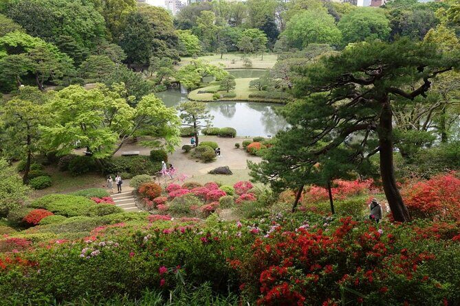 Tokyo Japanese Garden Lover's Private Tour with Government-Licensed Guide - A Closer Look at the Tour Experience