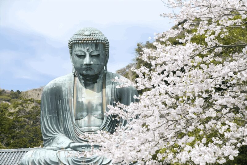 Tokyo: Kamakura & Enoshima Day Tour with Pickup & Train Ride - Who Should Consider This Tour?