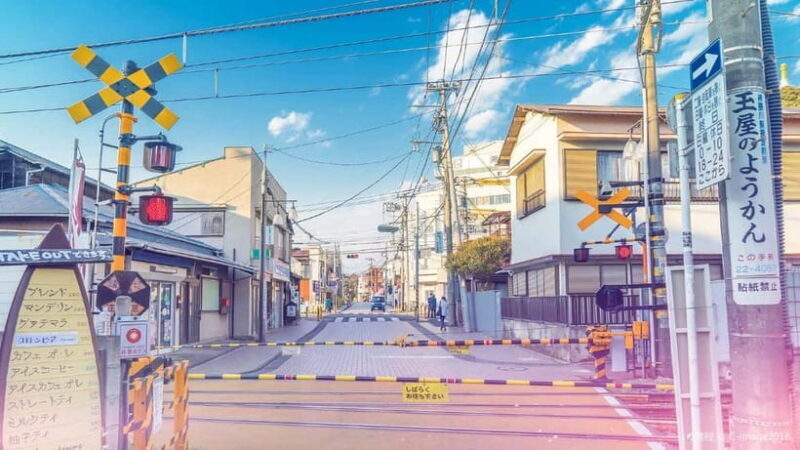 Tokyo: Kamakura & Enoshima Island /w Pick Up & Train Ride - Who Should Consider This Tour?