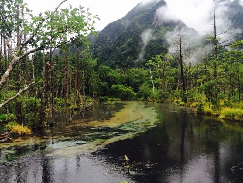 Tokyo Kamikochi & Lake Suwa Full-Day Tour with Bus - Who this tour suits best