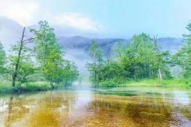 Tokyo Kamikochi & Lake Suwa Full-Day Tour with Bus - A few details to check before booking