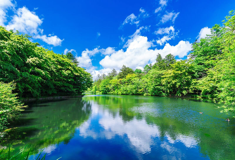 Tokyo, Karuizawa, and Kawagoe Little Edo Day Trip - Karuizawa: choose shops or a quieter resort stop