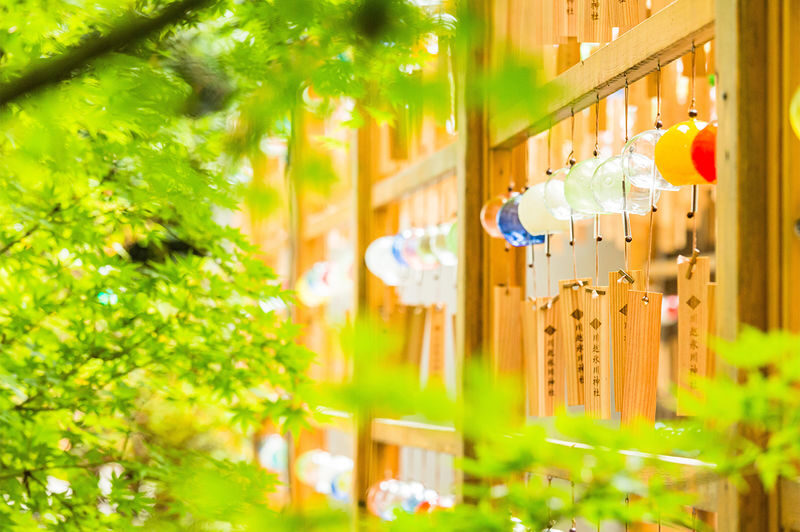 Tokyo, Karuizawa, and Kawagoe Little Edo Day Trip - Who should take this day trip?