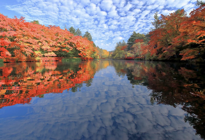 Tokyo Karuizawa Full-Day Private Customizable Tour - A private day trip, not a fixed sightseeing circuit