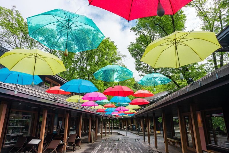 Tokyo Karuizawa Full-Day Private Customizable Tour - Shape the itinerary before the day begins