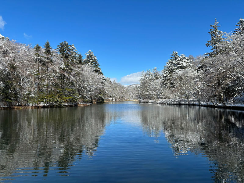 Tokyo Karuizawa Full-Day Private Customizable Tour - What the 5.0 rating tells you, and what it cannot