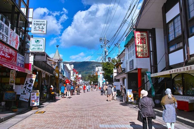 Tokyo Karuizawa Full-Day Private Customizable Tour - Is $449.30 good value?