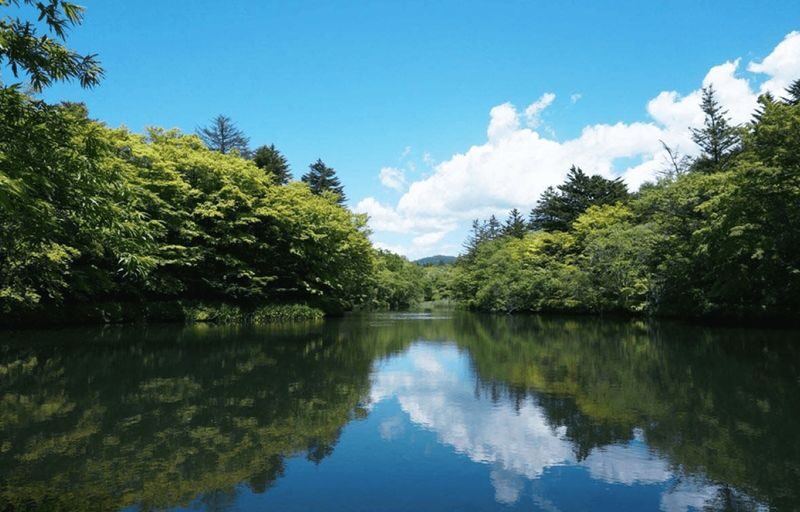 Tokyo Karuizawa Romantic Small Group Day Tour - What the day includes, and what remains unclear