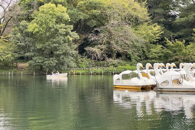 Tokyo Kichijoji 4hr Private Tour: Fun for Kids and Parents - Key Points