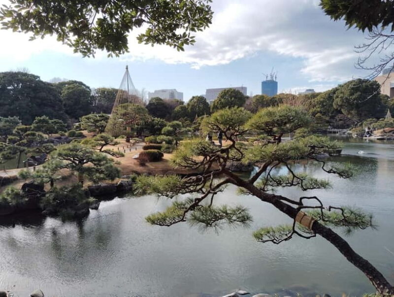 Tokyo: Kiyosumi Garden Guided Tour - Key Points