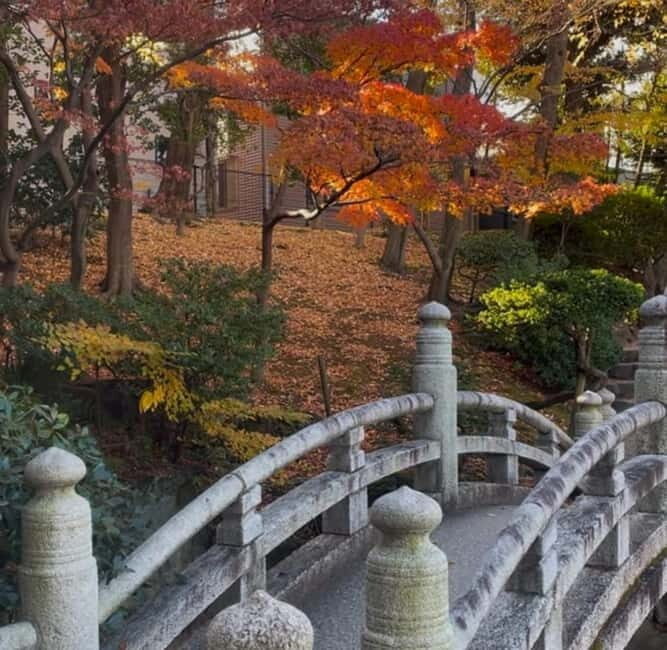 Tokyo: Know about Hokusai and Sumo culture in 2.5 hours - Final Thoughts