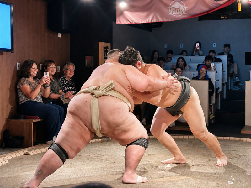 Tokyo Live Sumo Show & Interactive Experience - What to know before you book