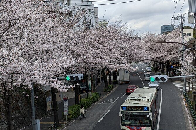 Tokyo Local Food & Cycling Tour - Frequently Asked Questions (FAQs)