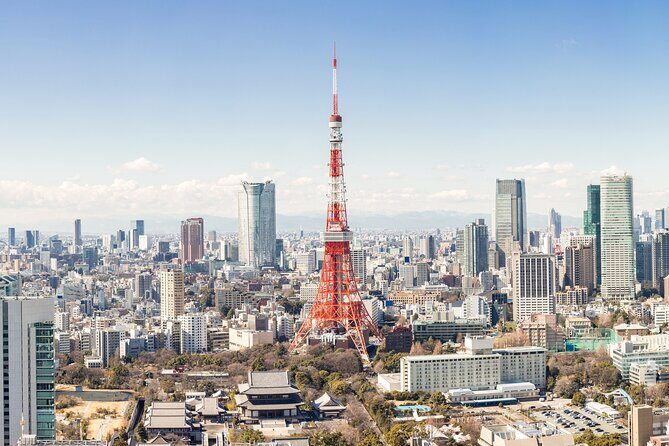 Tokyo Market Skyline and City Guided Tour for Kids and Families - Who Should Consider This Tour?