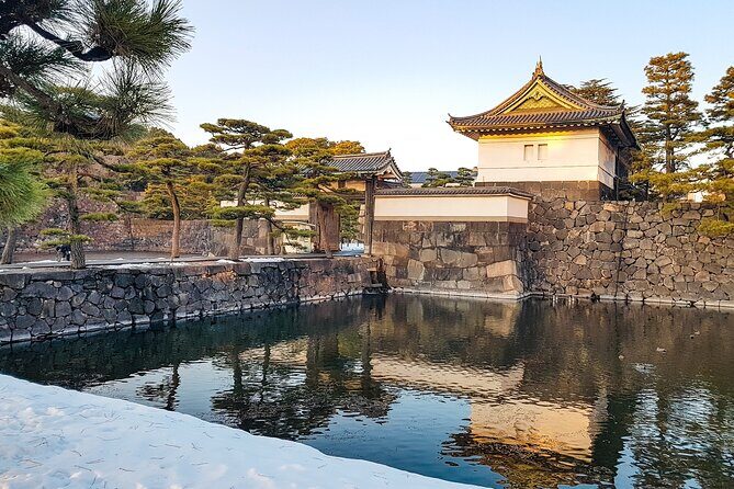 Tokyo Market Skyline and City Guided Tour for Kids and Families - Final Thoughts: Is This Tour for You?