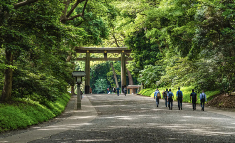 Tokyo Meiji Jingu & Harajuku 2-Hour Experience with Kawaii Culture - Two hours between shrine calm and Harajuku energy