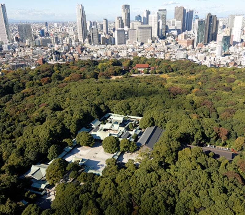 Tokyo Meiji Jingu & Harajuku 2-Hour Experience with Kawaii Culture - How to decide if this walk fits your day