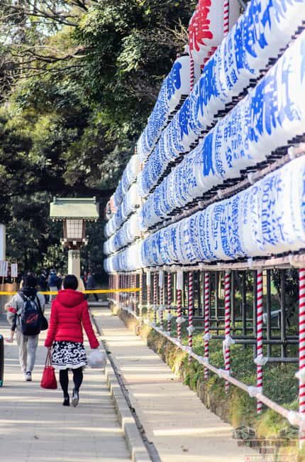 Tokyo: Meiji Jingu, Harajuku, Shibuya, and Shijuku Tour - Key Points