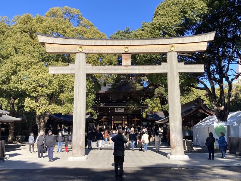 Tokyo: Meiji Jingu Historical Walking Tour with an expert guide - Key points