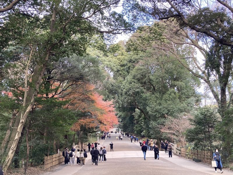 Tokyo: Meiji Jingu Historical Walking Tour with an expert guide - At the south gate and the camphor trees