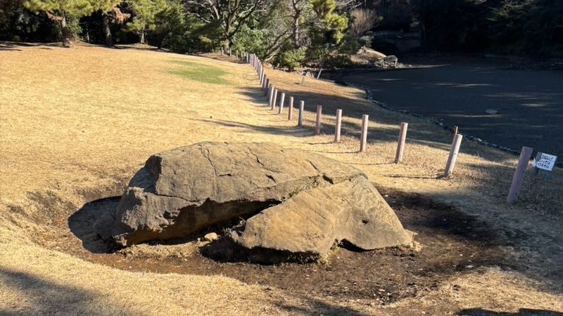 Tokyo: Meiji Jingu Historical Walking Tour with an expert guide - What the guides add