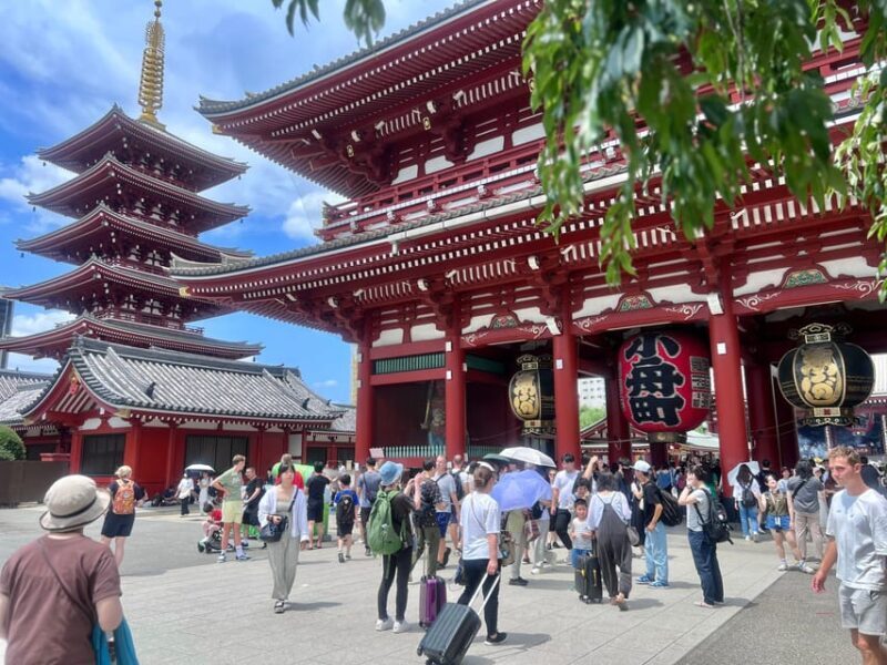 Tokyo: Meiji Jingu Shrine and Shinto Culture Walking Tour - Final Thoughts: Is This Tour Right for You?