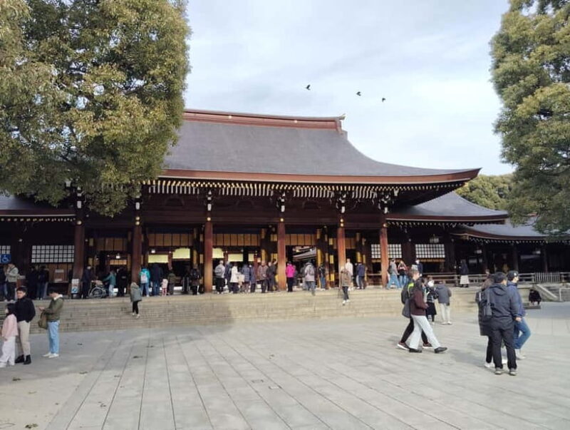 Tokyo: Meiji Jingu Shrine & Inner Garden Guided Tour (2h) - A Deep Dive into the Meiji Jingu Experience