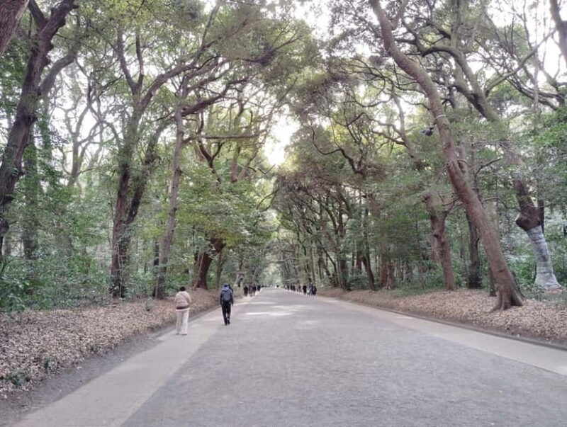 Tokyo: Meiji Jingu Shrine & Inner Garden Guided Tour (2h) - The Sum Up