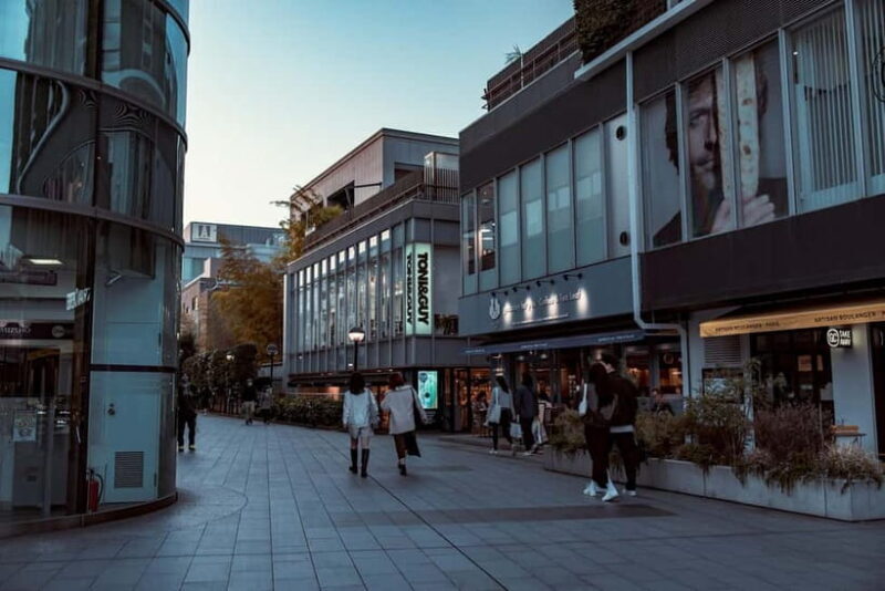 Tokyo: Meiji Jingu, Yoyogi Park & Takeshita Street Tour - Final Thoughts