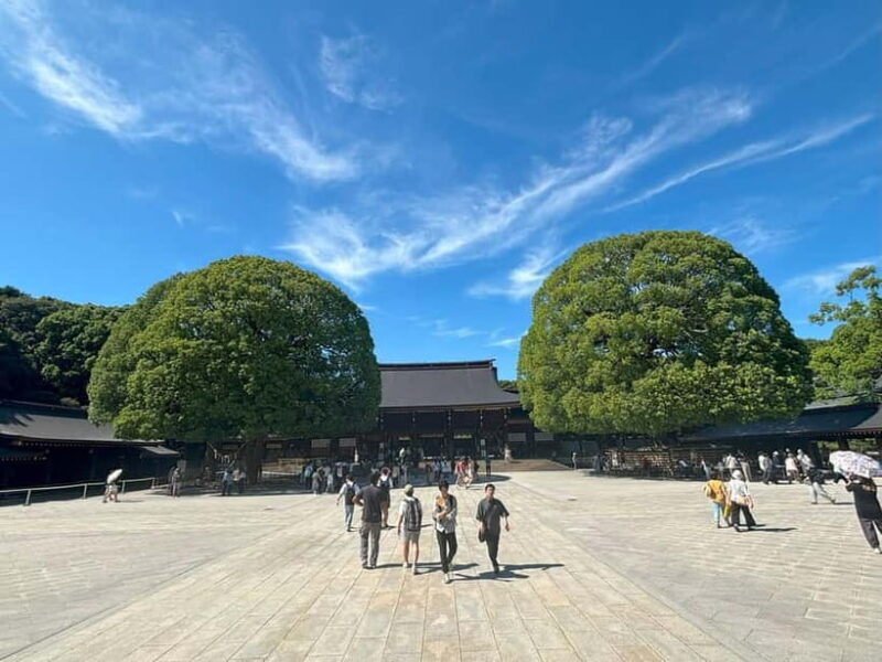 Tokyo: Meiji Jingu, Yoyogi Park & Takeshita Street Tour - FAQ