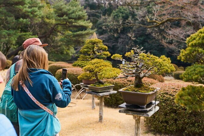 Tokyo: Meiji Shrine Historical Tour with Local Guide - Key Points