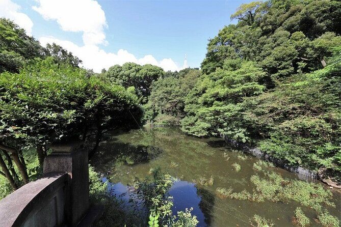 Tokyo Meiji Shrine Walking Tour - The Sum Up