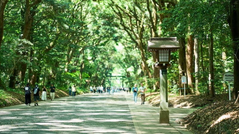 Tokyo: Meiji Shrine Walking Tour  Shinto & Imperial System - Who Should Consider This Tour?