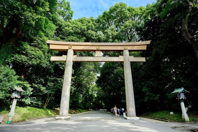 Tokyo: Meiji Shrine Walking Tour - Shintoism & Imperial System - Key points before you book