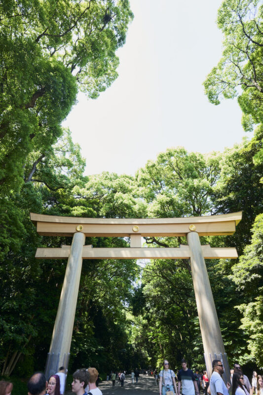 Tokyo: Meiji Shrine Walking Tour - Shintoism & Imperial System - Should you book the Meiji Shrine walking tour?