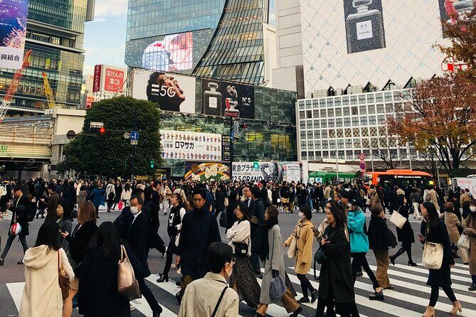 Tokyo Morning Half Day City tour with hotel pick-up by Gray Line - Key Points