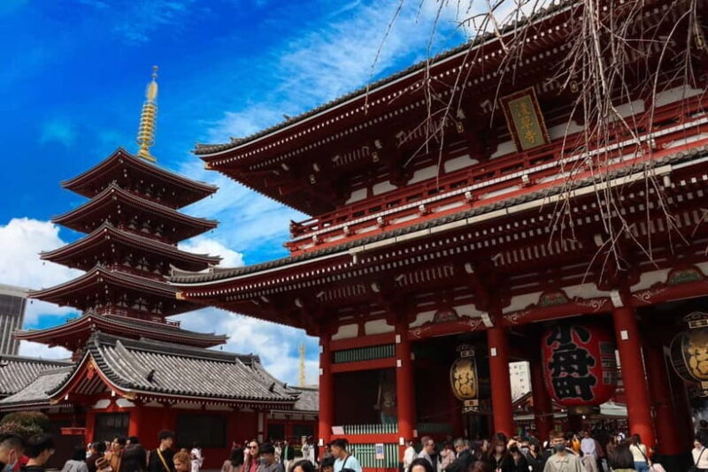 Tokyo Morning Highlights: Shibuya, Asakusa, Meiji Shrine - Tokyo Morning Highlights: Shibuya, Asakusa, Meiji Shrine — A Practical Guide