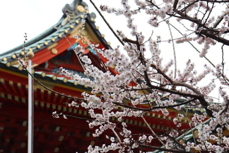 Tokyo Morning Highlights: Shibuya, Asakusa, Meiji Shrine - FAQs