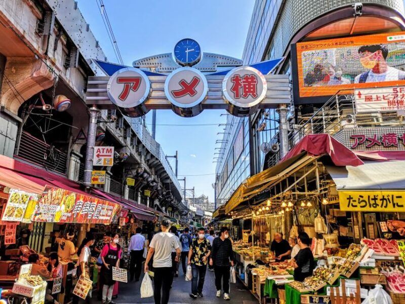 Tokyo: Morning Sightseeing Bus Tour - Who Will Benefit Most?