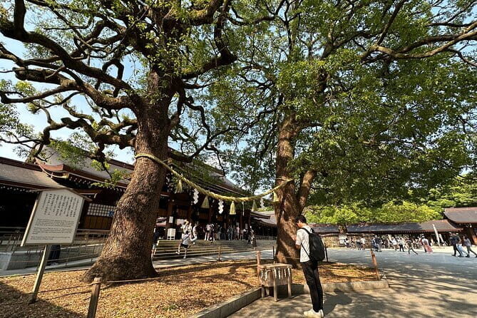 Tokyo Morning Tour : Meiji Shrine, Asakusa and Fire Ritual - FAQ