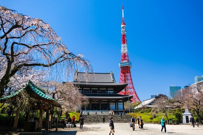 Tokyo Morning Tour Meiji Shrine, Asakusa and Local temple - A Practical Guide to Tokyo’s Spiritual Heart