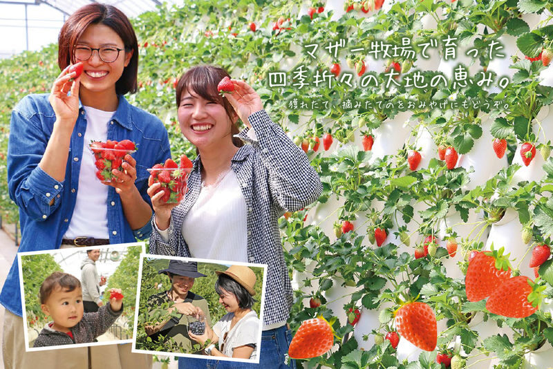 Tokyo Mother Farm & Mitsui OUTLET PARK Private Day Tour - Choose the vehicle for people and bags, not just seats
