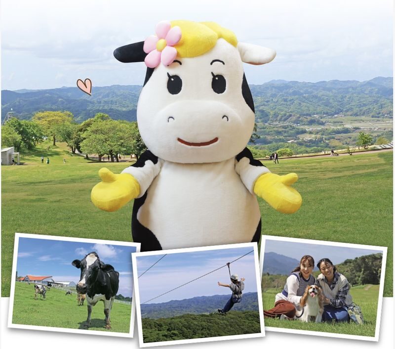 Tokyo Mother Farm & Mitsui OUTLET PARK Private Day Tour - What the price covers, and what it does not