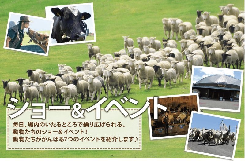 Tokyo Mother Farm & Mitsui OUTLET PARK Private Day Tour - Is this the right day trip for you?