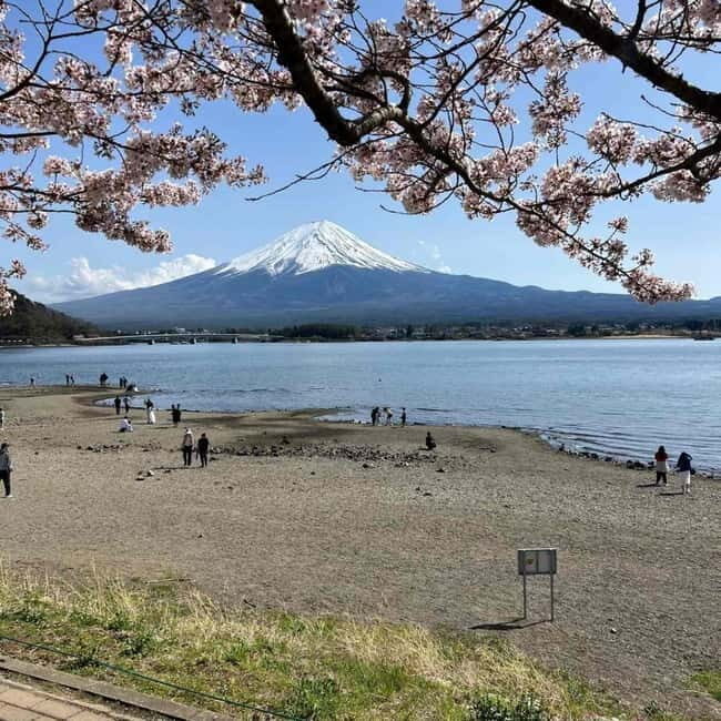 Tokyo: Mount Fuji Affordable Customizable Private 1-Day Tour - What Makes This Tour Stand Out