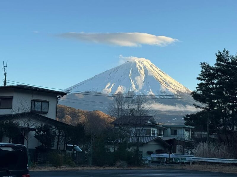 Tokyo: Mount Fuji and Hakone Private Sightseeing Day Tour - Who Will Love This Tour?