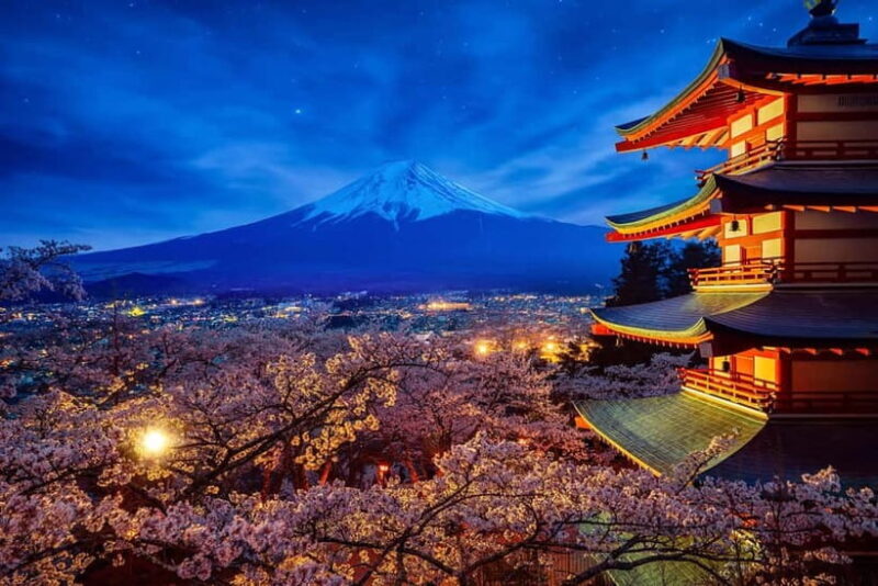 Tokyo: Mount Fuji and Hakone Private Sightseeing Day Tour - Final Thoughts