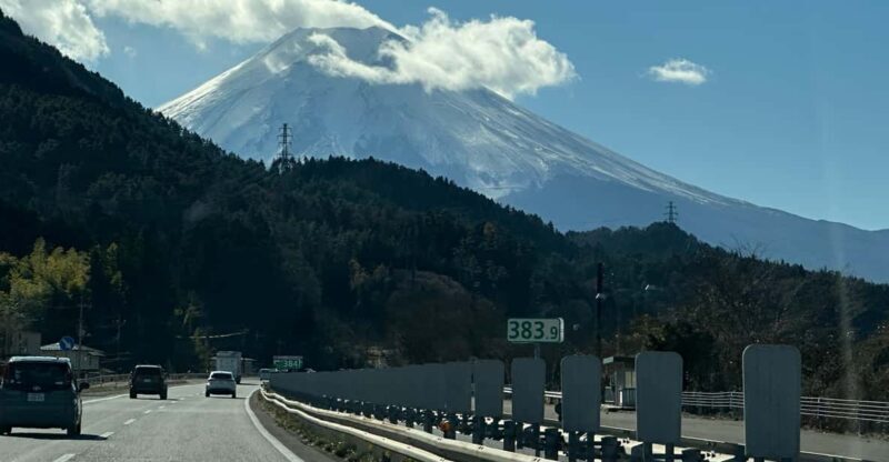 Tokyo: Mount Fuji and Hakone Private Sightseeing Day Tour - The Experience in Detail
