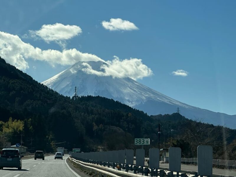 Tokyo: Mount Fuji and Hakone Private Sightseeing Day Tour - FAQs