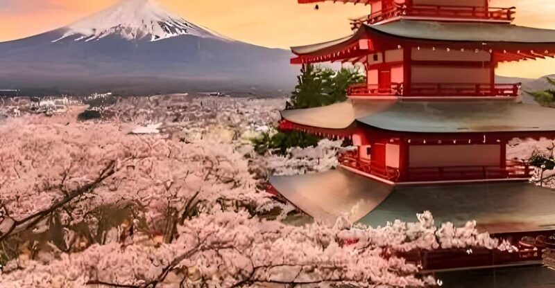 Tokyo: Mount Fuji and Hakone private sightseeing tour - What to Expect from This Tour